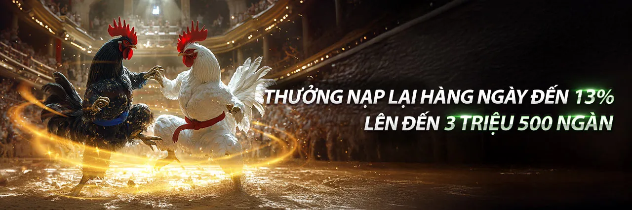 Đá Gà Trực Tuyến cay388 đăng ký - Trận đấu kịch tính